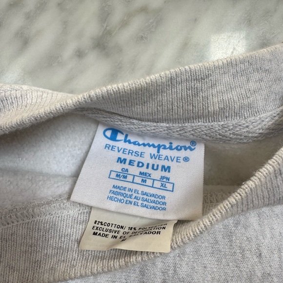 Champion Gray Nebraska Wesleyan Crewneck - Picture 3 of 4